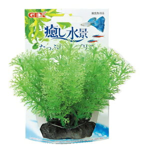 WFbNXbGEX i ՂAuA [ybgpi]