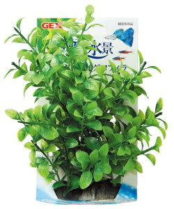 WFbNXbGEX i ՂnCOtB [ybgpi]