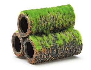 WFbNXbGEX Șa̒ y(S) [ybgpi]