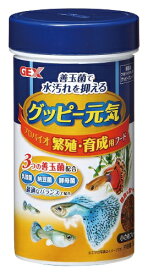 ジェックス｜GEX グッピー元気 プロバイオ繁殖・育成用フード (52g) [ペット用品]