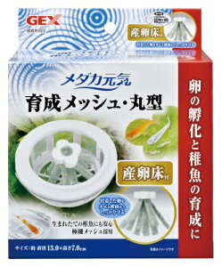 WFbNXbGEX _JC 琬bVEی^ Yt [ybgpi]