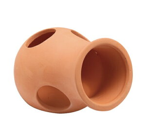 WFbNXbGEX i fẲB () [ybgpi]