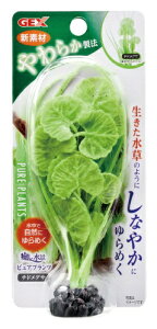 WFbNXbGEX 炩VRvc i sAvc `hOT [ybgpi]