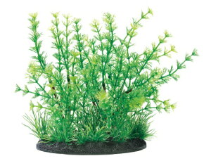 WFbNXbGEX i MIXvc(L) AuA [ybgpi]