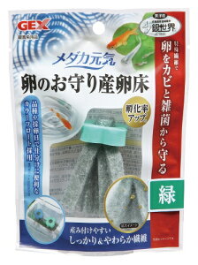 WFbNXbGEX _JC ̂Y () [ybgpi]