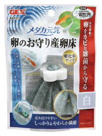 楽天市場 メダカ 卵産み付けの通販 楽天市場 メダカ 卵産み付けの通販
