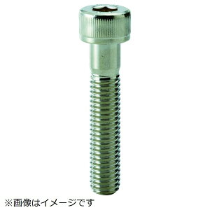 �g���X�R���R�bTRUSCO NAKAYAMA TRUSCO�@�Z�p���t�{���g�@�X�`�[���@���b�L�@���˂��@M10×45�@6�{�� Y154-1045