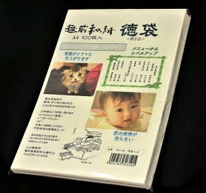 X{bMorimoto Kasei zOa  A4(100) TME-001[TME001]