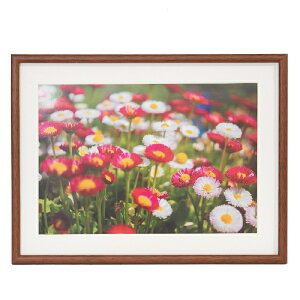 FUJICOLORbtWJ[ ؐz_M21_Ch4_uE