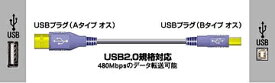 JVC｜ジェイブイシー USBケーブル(2.0対応)1m [VX-U110]