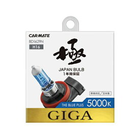 カーメイト｜CAR MATE BD1629N ザ・ブループラス5000K H16