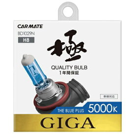 カーメイト｜CAR MATE BD1029N ザ・ブループラス5000K H8