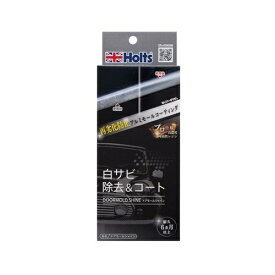Holts｜ホルツ MH684 ドアモールシャイン 白サビ除去&コート