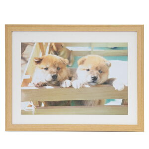 FUJICOLORbtWJ[ ؐz YM-9 Ch4 ؒn