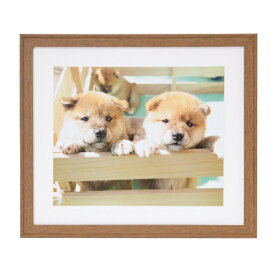 FUJICOLOR｜フジカラー 木製額縁_YM-9_4切_ブラウン ブラウン