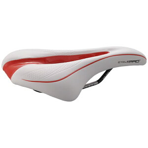 CYCLEPRObTCNv Xbgt SPTRtH[gThCM[