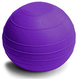 楽天市場 柔らかいボールの通販