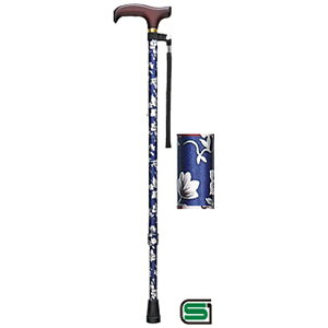 tWz[bFuji Home XebL x[VbNLk S ԕ