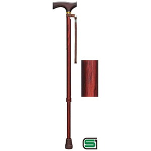 tWz[bFuji Home XebL x[VbNLk SEMp ؖ