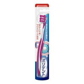 Haleon｜ヘイリオン ポリデント デンタルラボ 入れ歯洗浄剤 部分入れ歯専用ブラシ 1本