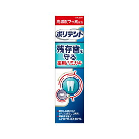Haleon｜ヘイリオン ポリデント デンタルラボ 入れ歯洗浄剤 薬用ハミガキ 100g