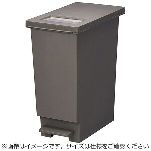 �V�P�����bSHINKIGOSEI ���j�[�h �v�b�V��&�y�_���i�W�t�j 30S �u���E�� ��KNC0110��[KNC0110]