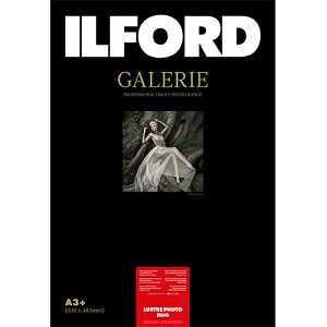ILFORDbCtH[h CtH[hM[X^[tHgfI330g/m2iA3mrE25jILFORD GALERIE Lustre Photo Duo 433275[433275]