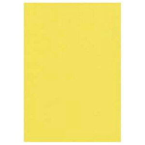 IBbKishu Paper kRs[/CNWFbglNEWt@CJ[p 64g/m2 [A4 /500] CG[[NEWt@CJ[A4500]
