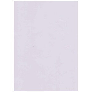 IBbKishu Paper kRs[/CNWFbglNEWt@CJ[p 64g/m2 [A4 /500] p[v[NEWt@CJ[A4500]