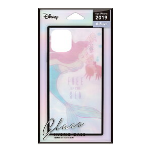 PGAbs[W[G[ iPhone 11 Pro Max 6.5C` p KXnCubhP[X PG-DGT19C07ARL AG&ZoX`