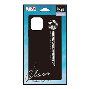 PGAbs[W[G[ iPhone 11 Pro Max 6.5C` p KXnCubhP[X PG-DGT19C14IRM ACA}