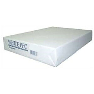 쐻쏊bNAKAGAWA MFG PPCpmA3TCY /500n zCg[WHITEPPCA3RNiCV]