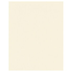 HAKUBA｜ハクバ No.790 2L 縦（タテ） M790-2LT-1 [タテ /2Lサイズ・キャビネサイズ /1面]