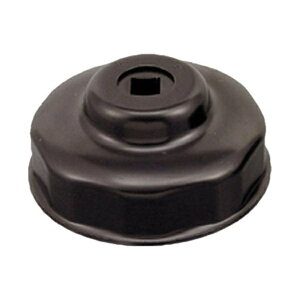 fCgibDAYTONA 44295 ICtB^[` n[[p