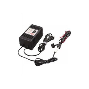 fCgibDAYTONA 71199 ێ[d/zZbg