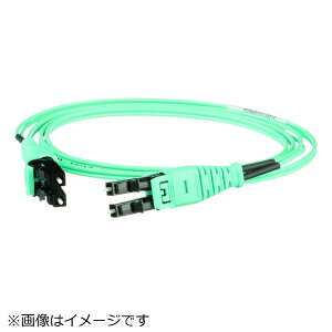 �p���h�E�C�b�g�bPANDUIT �p���h�E�C�b�g�@�v�b�V���u����LC�f���v���b�N�X���t�@�C�o�[�p�b�`�R�[�h�@OM3�@2m�@1�{����@FX2ERQ1Q1SNM002 FX2ERQ1Q1SNM002