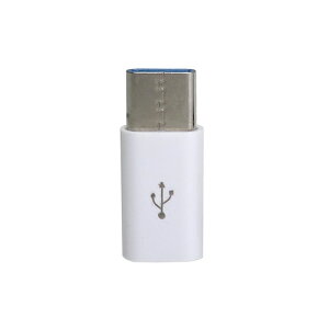 GROOVY�b�O���[�r�[ USB�ϊ��A�_�v�^ [USB-C �I�X�����X micro USB /�[�d /�]�� /USB2.0] �z���C�g CAD-P1W�yrb_ cable_cpn�z