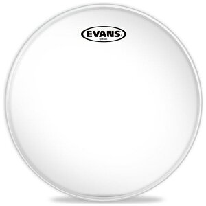 Evans�b�G���@���X �h�����w�b�h TT12HG
