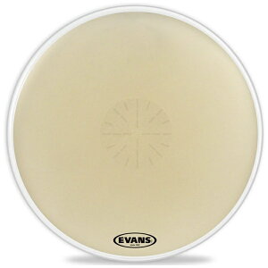 Evans�b�G���@���X �h�����w�b�h CB3614SD