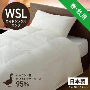 yGg[ōőSz|CgҌb11/5z эH[bUMO KOBO |HѕzcuтӂƂv PM480-A [VO(170×230cm) /tEHp /|[hYzCg}U[O[X_E95