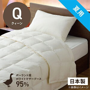 эH[bUMO KOBO |HѕzcuтӂƂv PM480-B2 [NB[(210×210cm) /ėp /|[hYzCg}U[O[X_E95 /{]