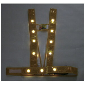 ~YPCbMizukei ~YPC@LED^XL^SxXgułvS[h^LED 3020002