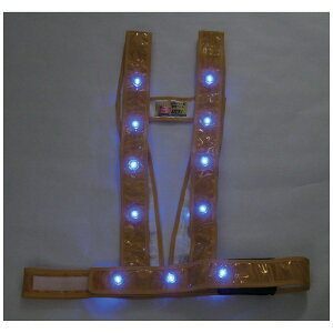 ~YPCbMizukei ~YPC@LED^XL^SxXgułvS[h^LED 3020004