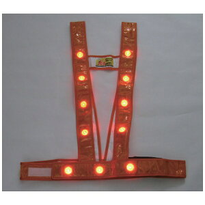 ~YPCbMizukei ~YPC@LED^XL^SxXgułvIW^LED 3020011