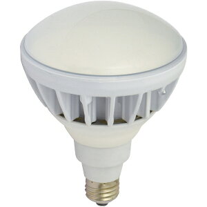 HƁbNICHIDO LED@nCXybNGRrbN20W@E26@F L20W-JW110-50K