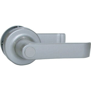 单쏊bDAIKOKU DOOR LOCK AGENT@LF|100@֗po[nh@1Xsh^@p AGLF100KUO