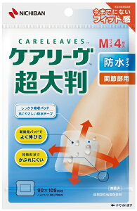 j`obNICHIBAN CARELEAVES(PA[)唻h^CvMTCY (4)kEہEŁl CLCHOB4M