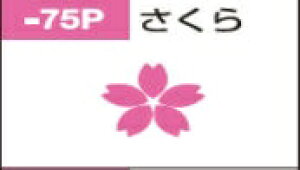 PILOTbpCbg tNVX^v TN P SPF-12-75P