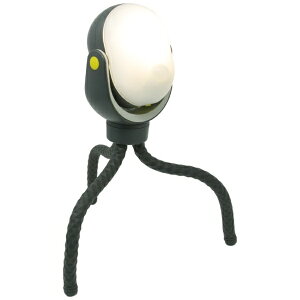 CebNXbRITEX ǂłZT[Cg300 ubN ASL097 [dF /dr]