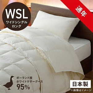 эH[bUMO KOBO 2킹(|+|)HѕzcuтӂƂv PM480-AB2[ChVOOTCY(170×230cm)/ʔN /|[hYzCg}U[O[X_E95 /{]